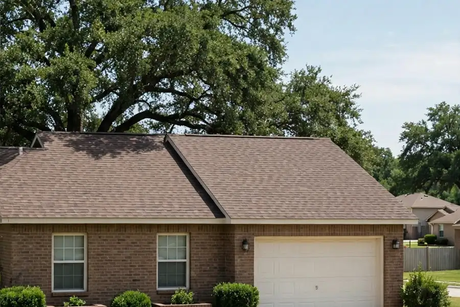 Pruned tree with a balanced canopy beside a home