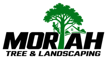 Moriah Tree & Landscaping logo