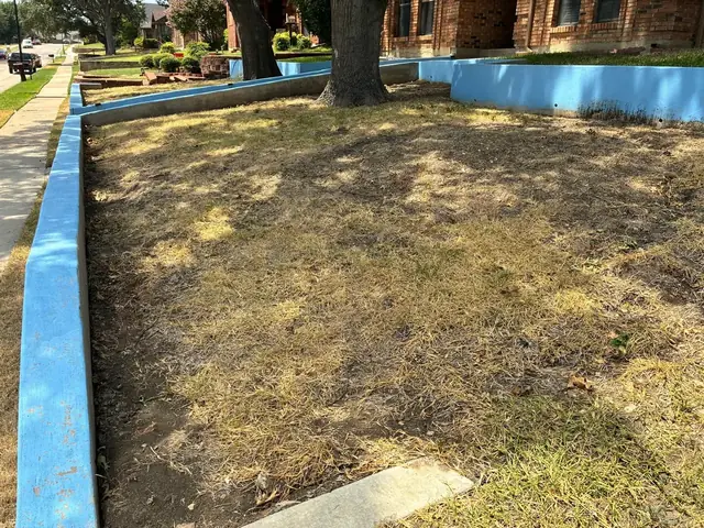 Ground before artificial grass installation inside a blue boundary
