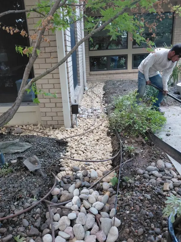 Drainage installation in progress around an existing planting area