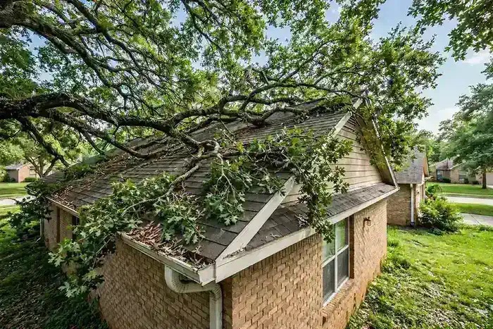 Overgrown tree branches touching a residential roof