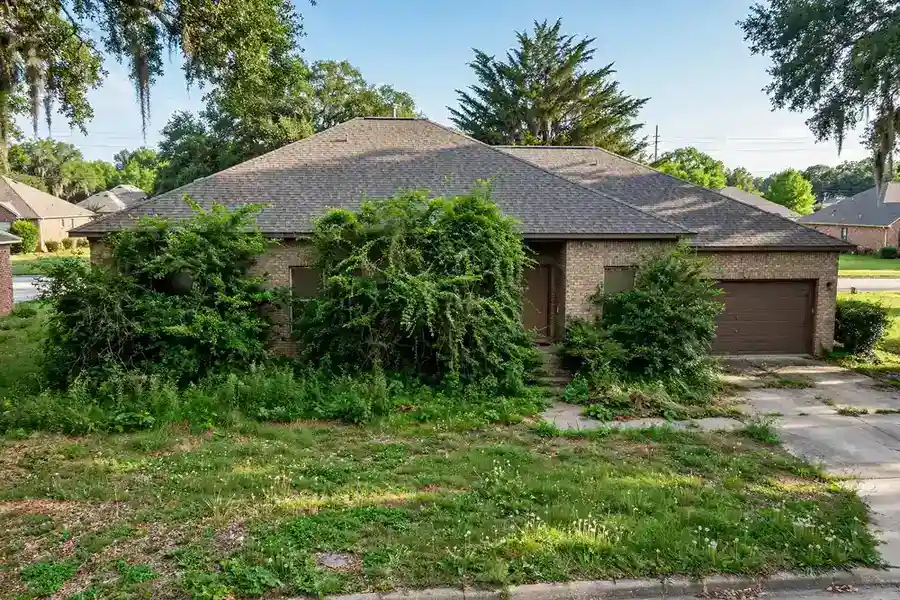 Overgrown bushes blocking residential windows
