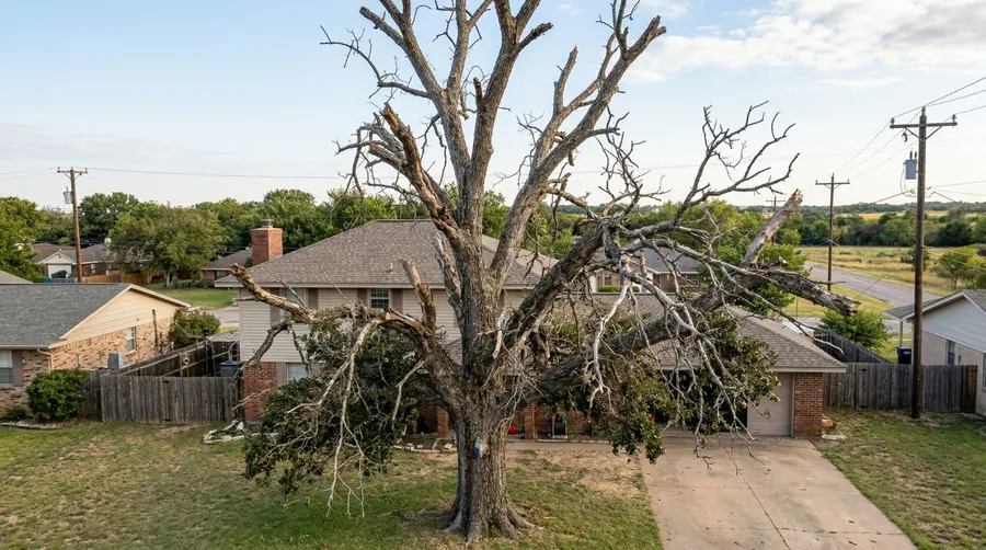 fallen tree sections prepared for residential tree removal