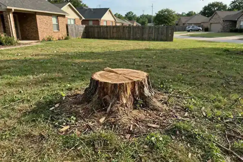Tree stump remaining in a lawn after removal
