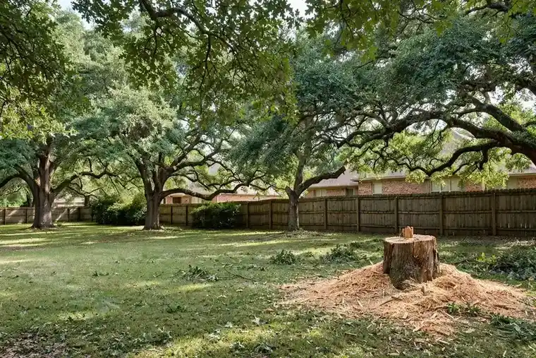 Tidy North Texas backyard after branches and brush were cleared